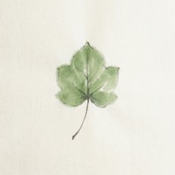 青梧